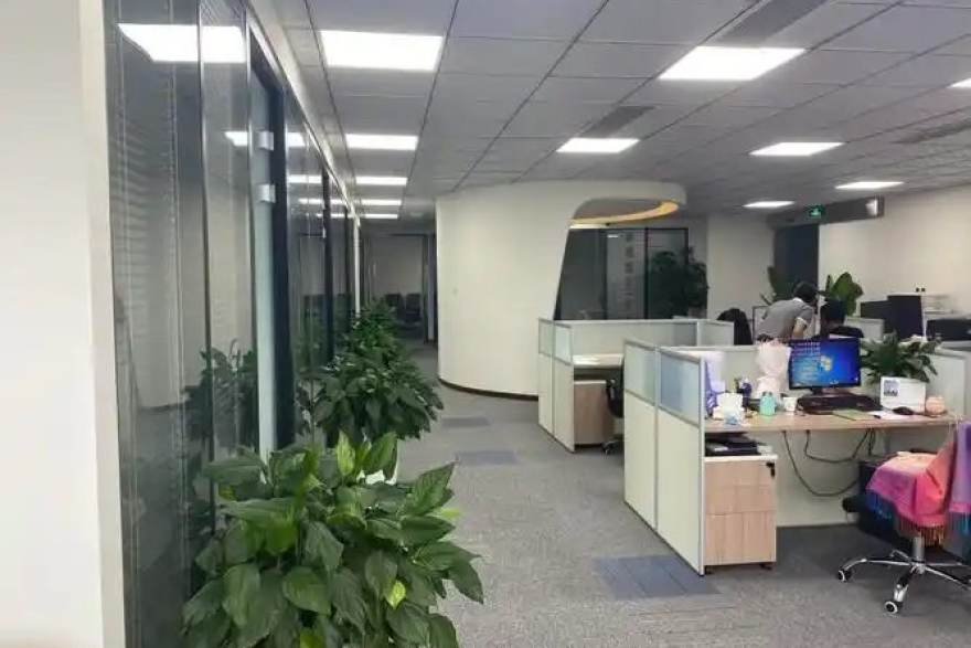 懂球帝官方网内容编辑团队工作场景